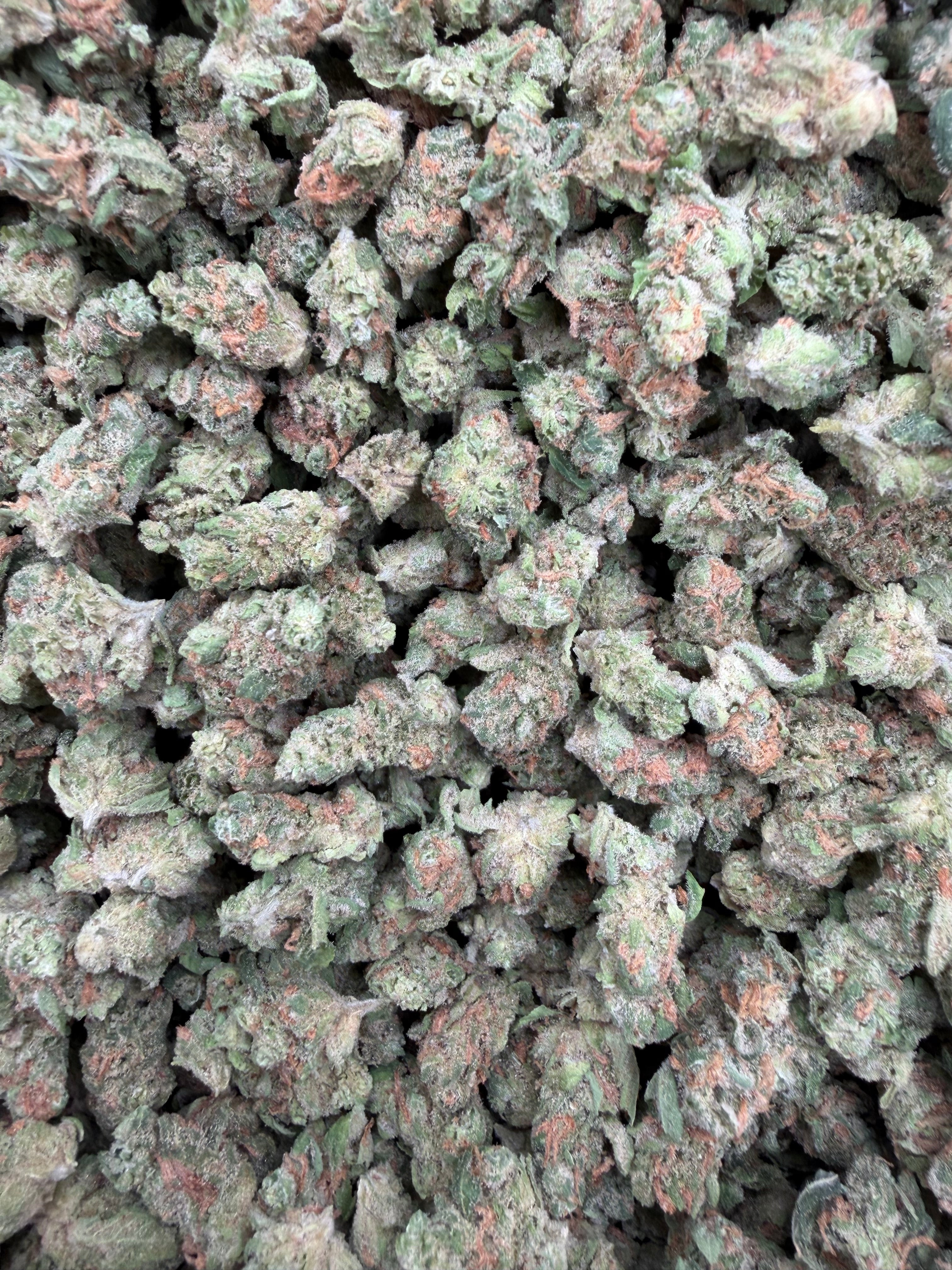 Blue Dream Indoor Smalls THCA flower – full batch of compact buds