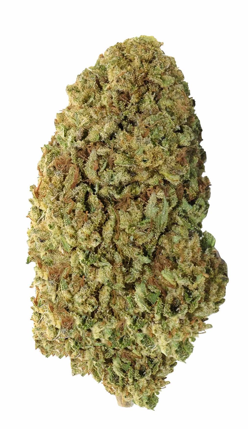 Forbidden - CBD Flower