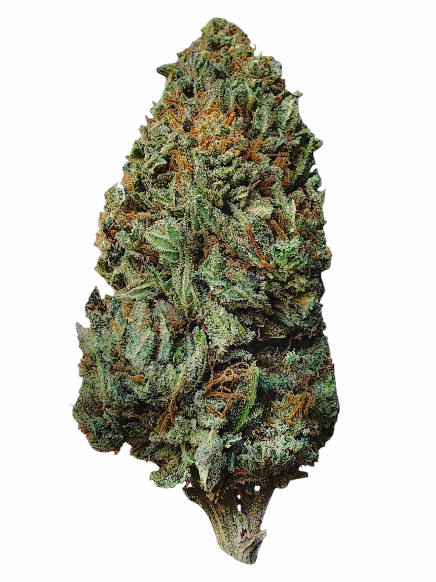 Miracle Lemon Cookie - CBD Flower