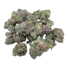 Mojito Indoor Smalls THCA flower – isolated buds on white background