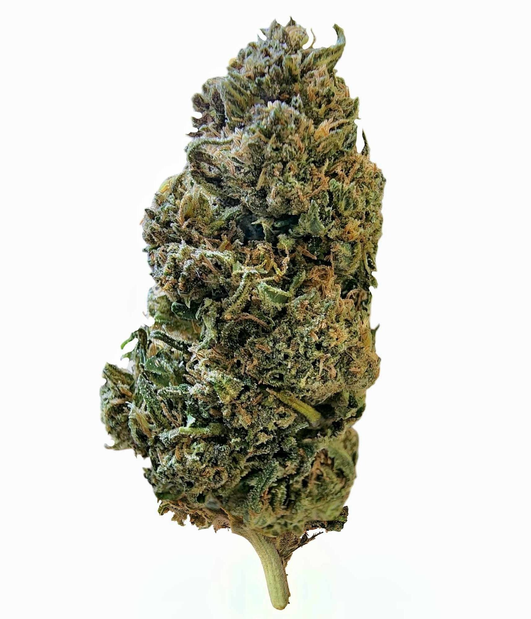 Spec Diesel - CBD Flower