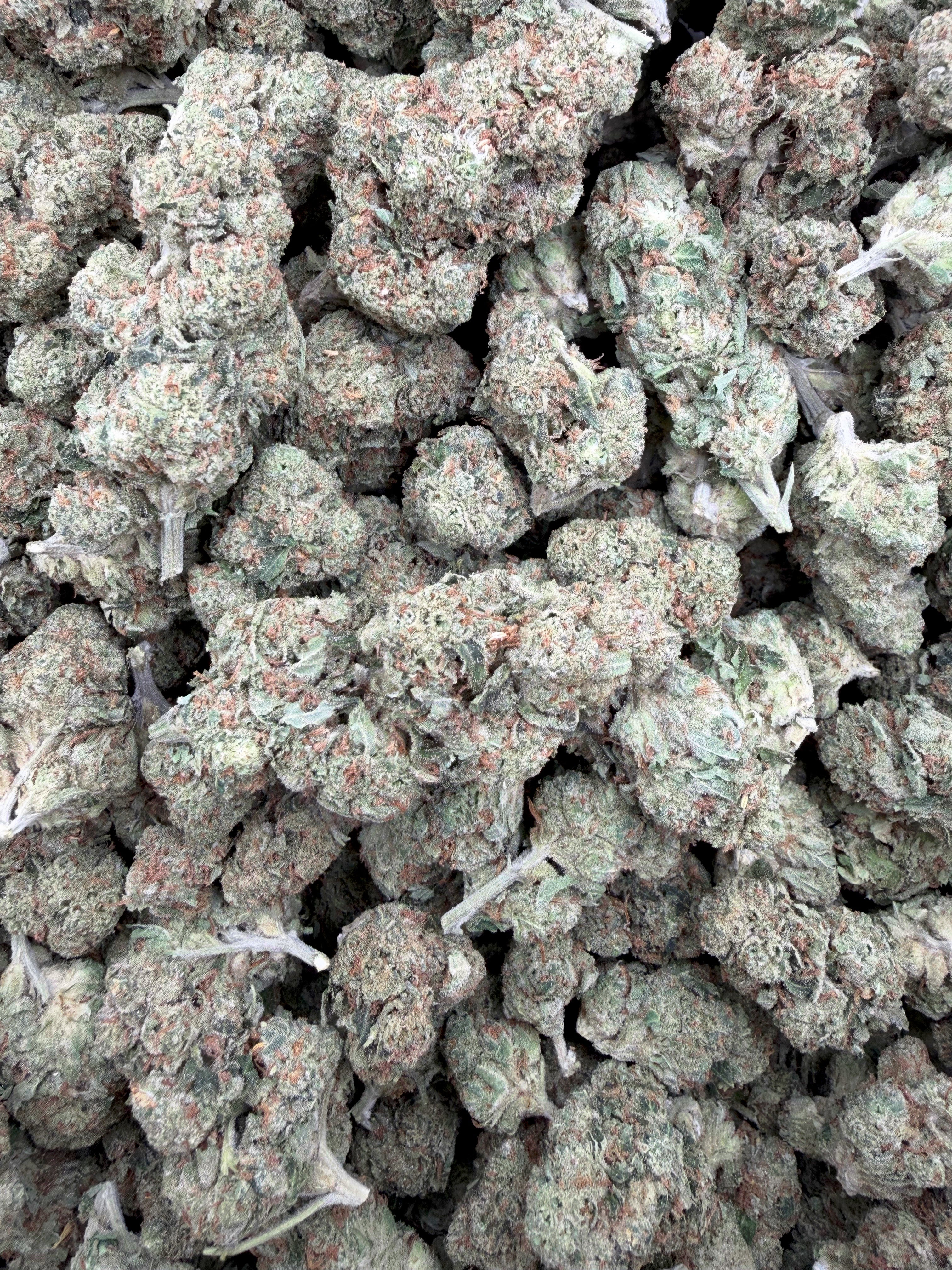 Alien OG Indoor Full-Size Buds THCA flower – full current-batch photo