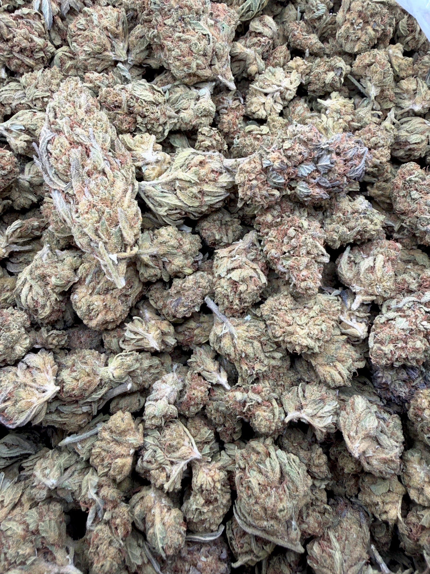 Almond Mochi Greenhouse THCA flower batch view