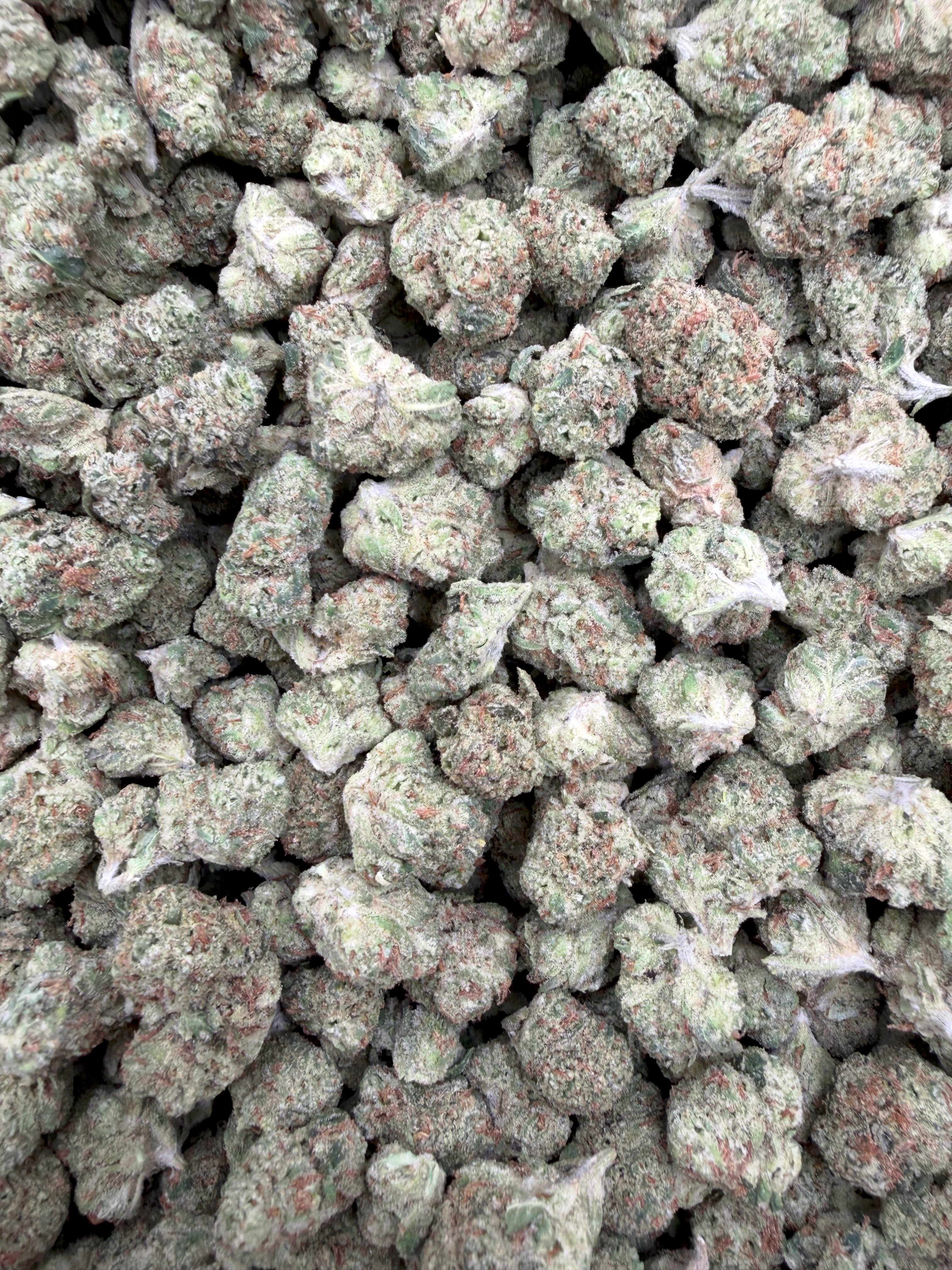 Apple Tart Indoor Smalls THCA flower – full current-batch photo