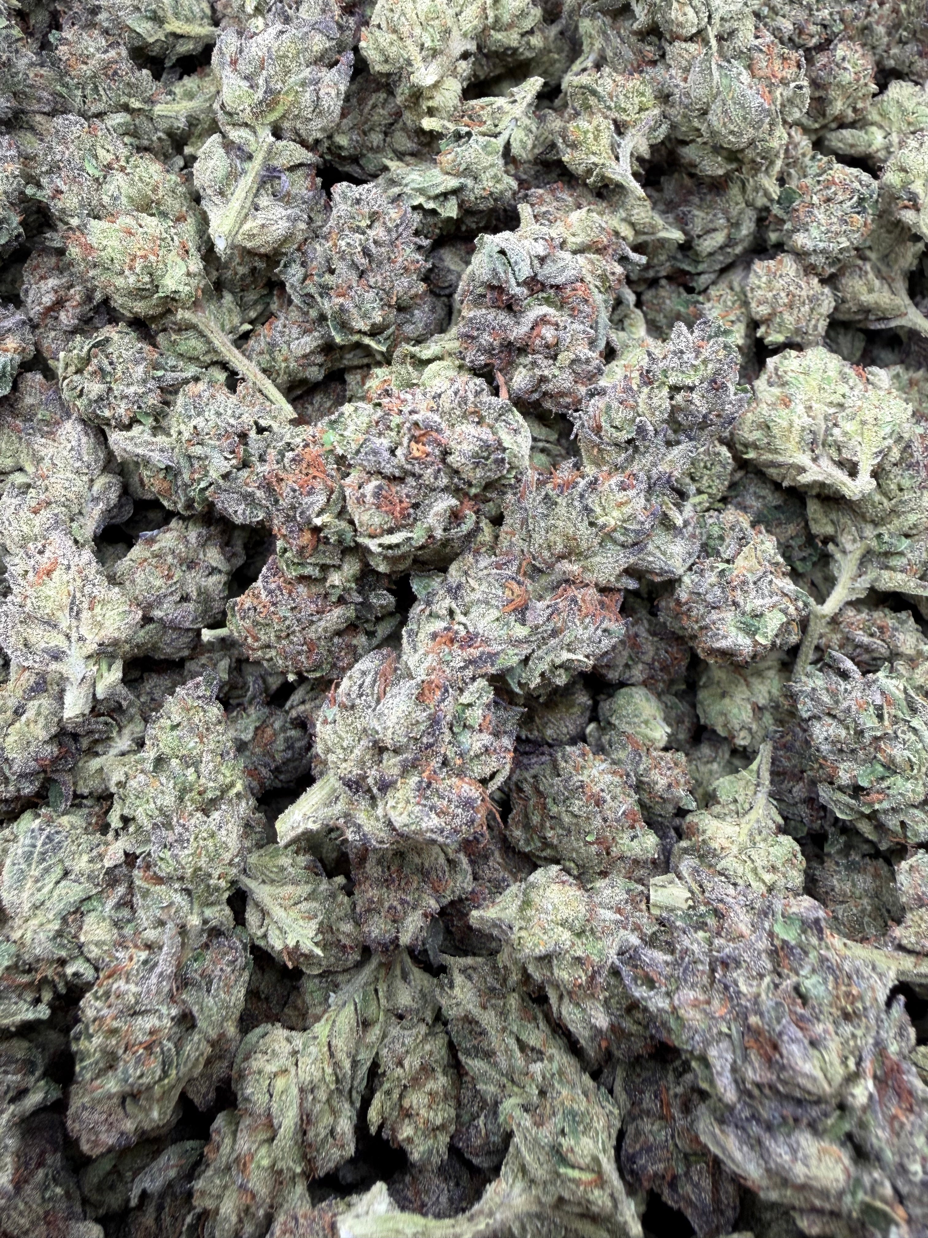 Black Cherry Gelato THCA flower