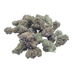 Black Cherry Zoap Smalls THCA flower – isolated current-batch bud on white background