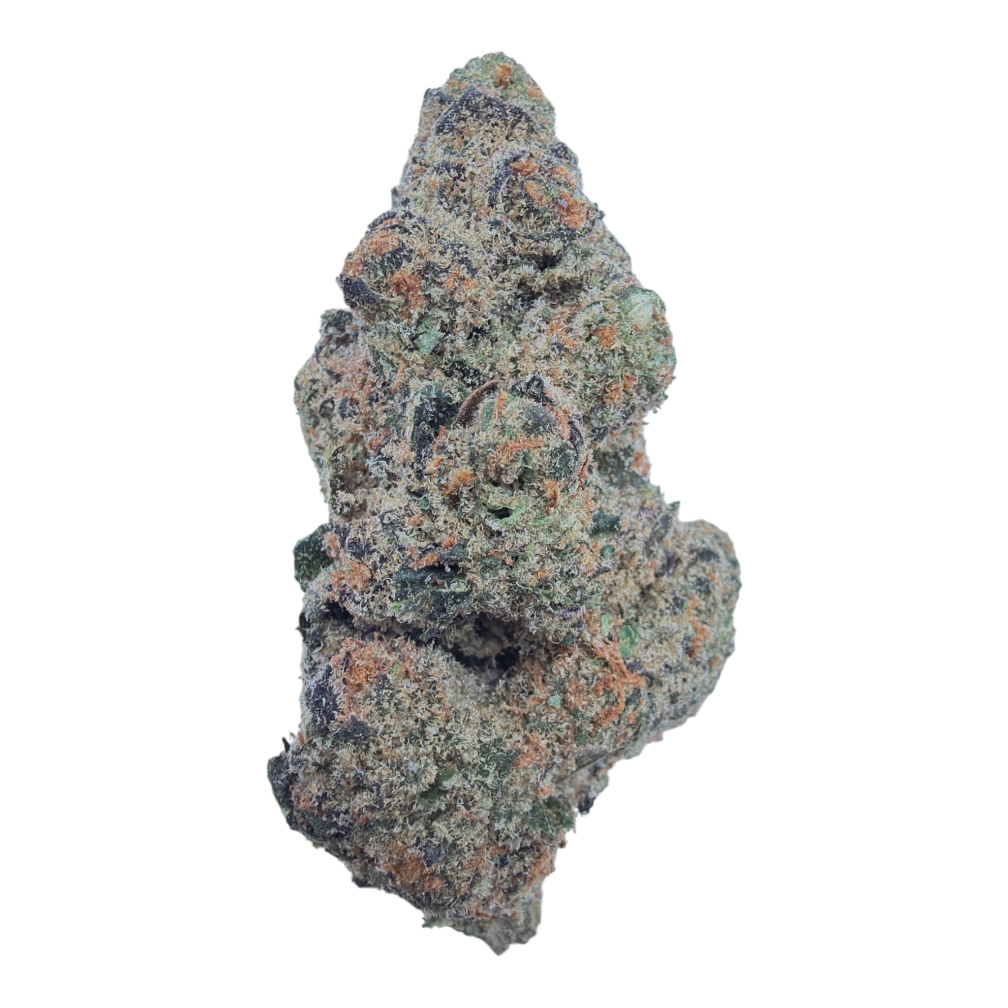 Black Garlic Gelato (Indoor Full-Size Buds) - THCA Flower