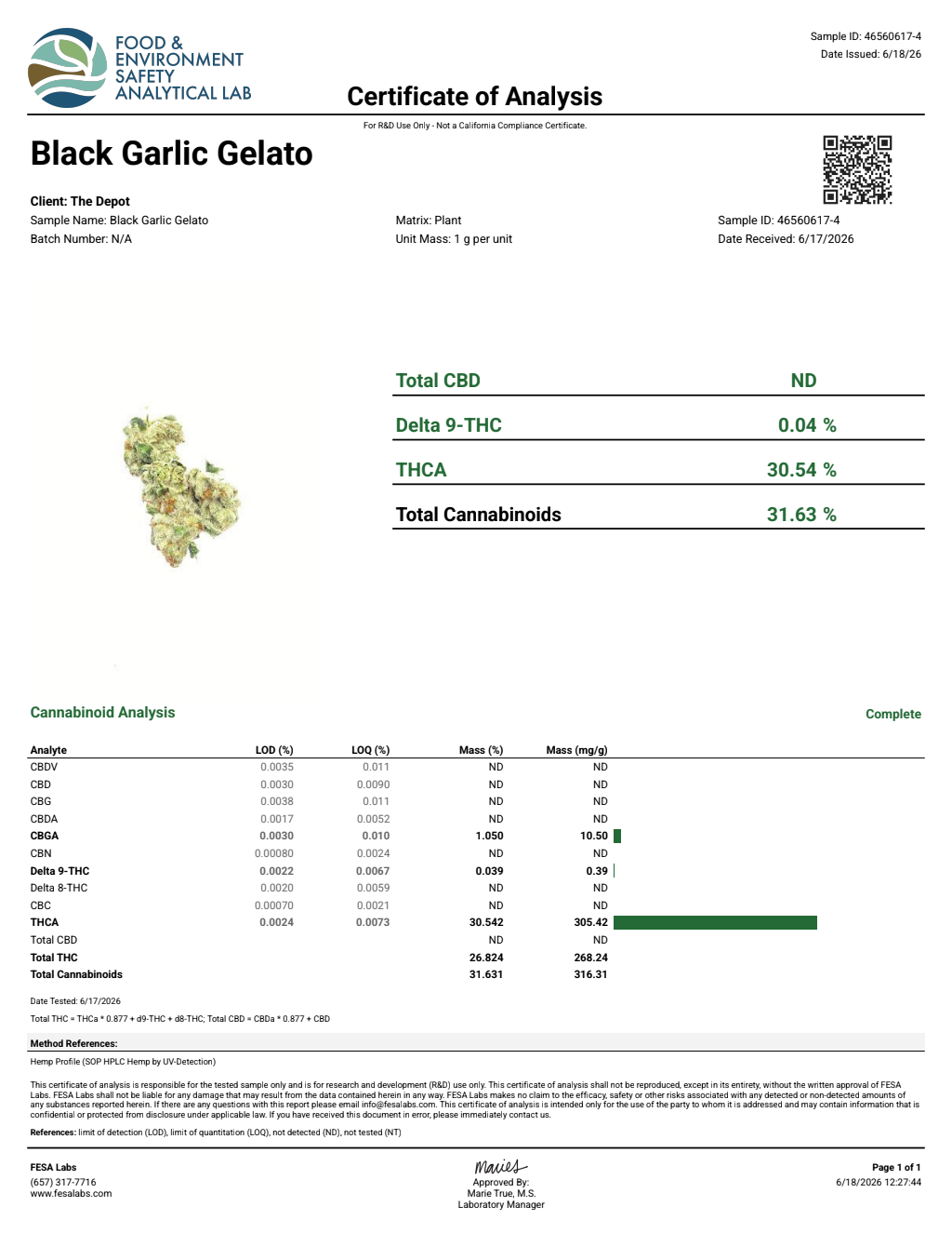 Black Garlic Gelato current laboratory report