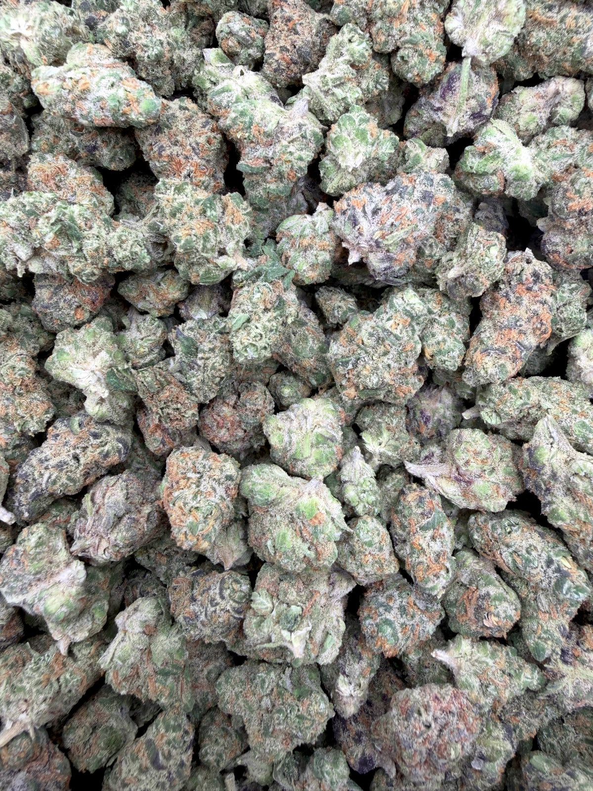 Black Mamba Indoor Smalls THCA flower full current-batch photo