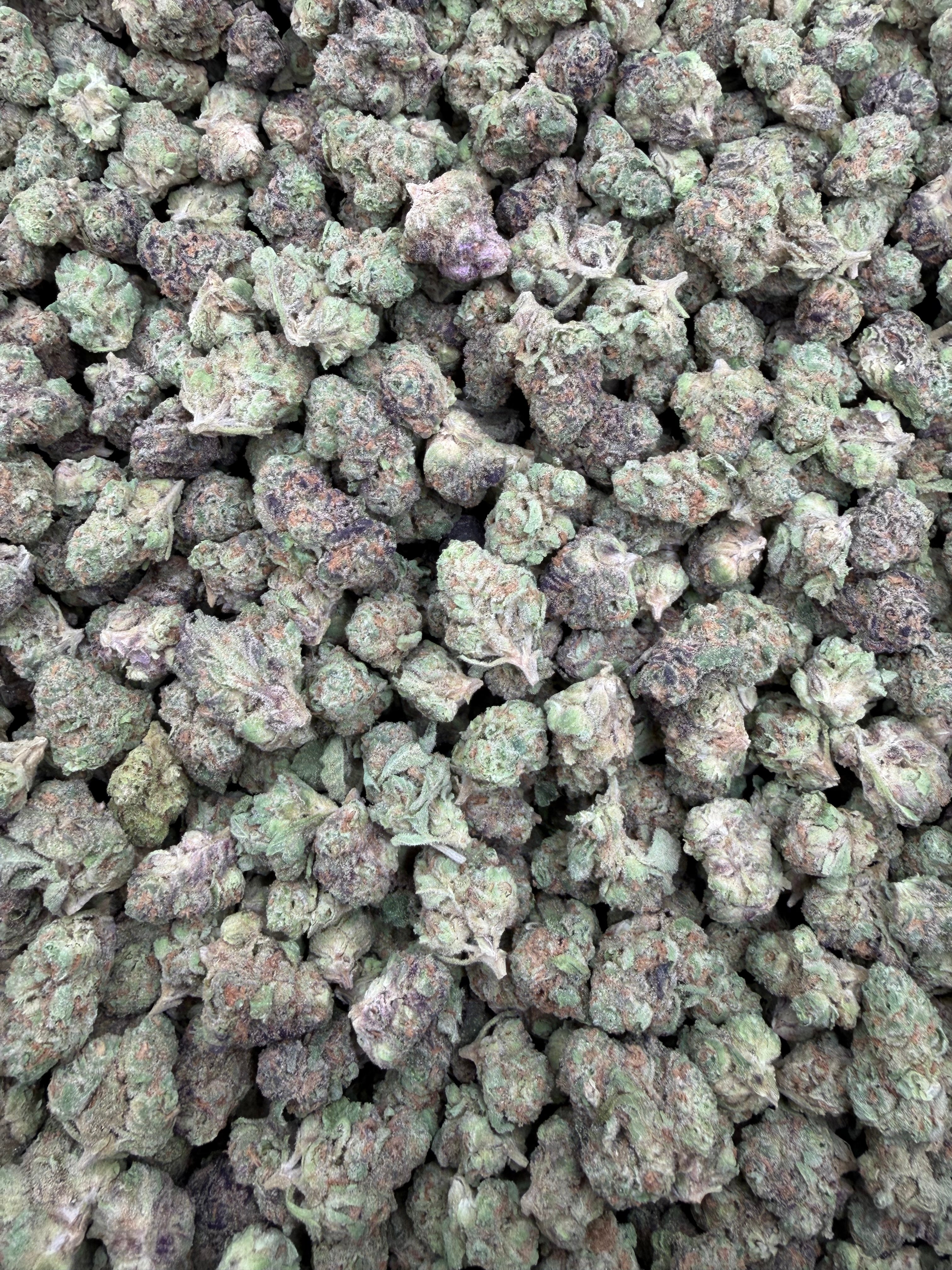 Black Maple indoor THCA smalls batch close-up
