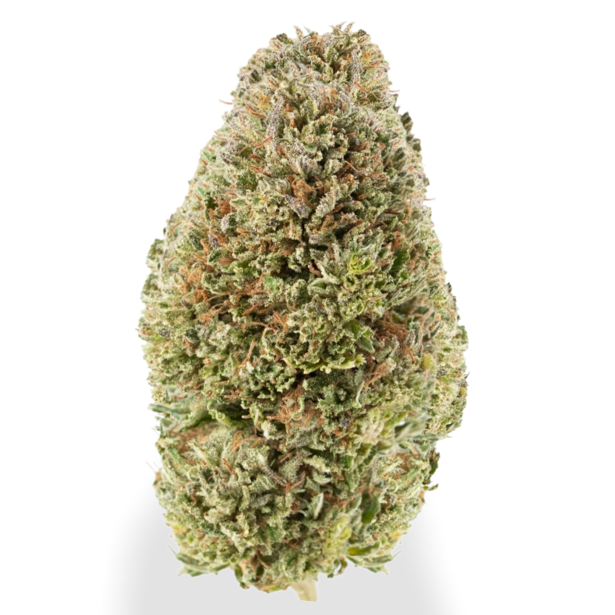 Bubba Kush - CBD Flower