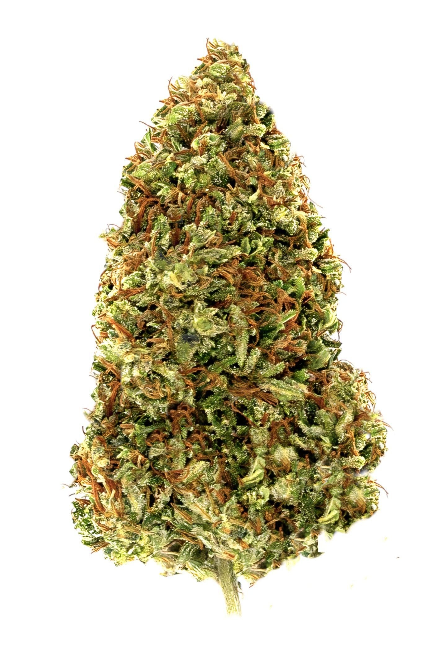Cake Berry Brûlée - CBD Flower