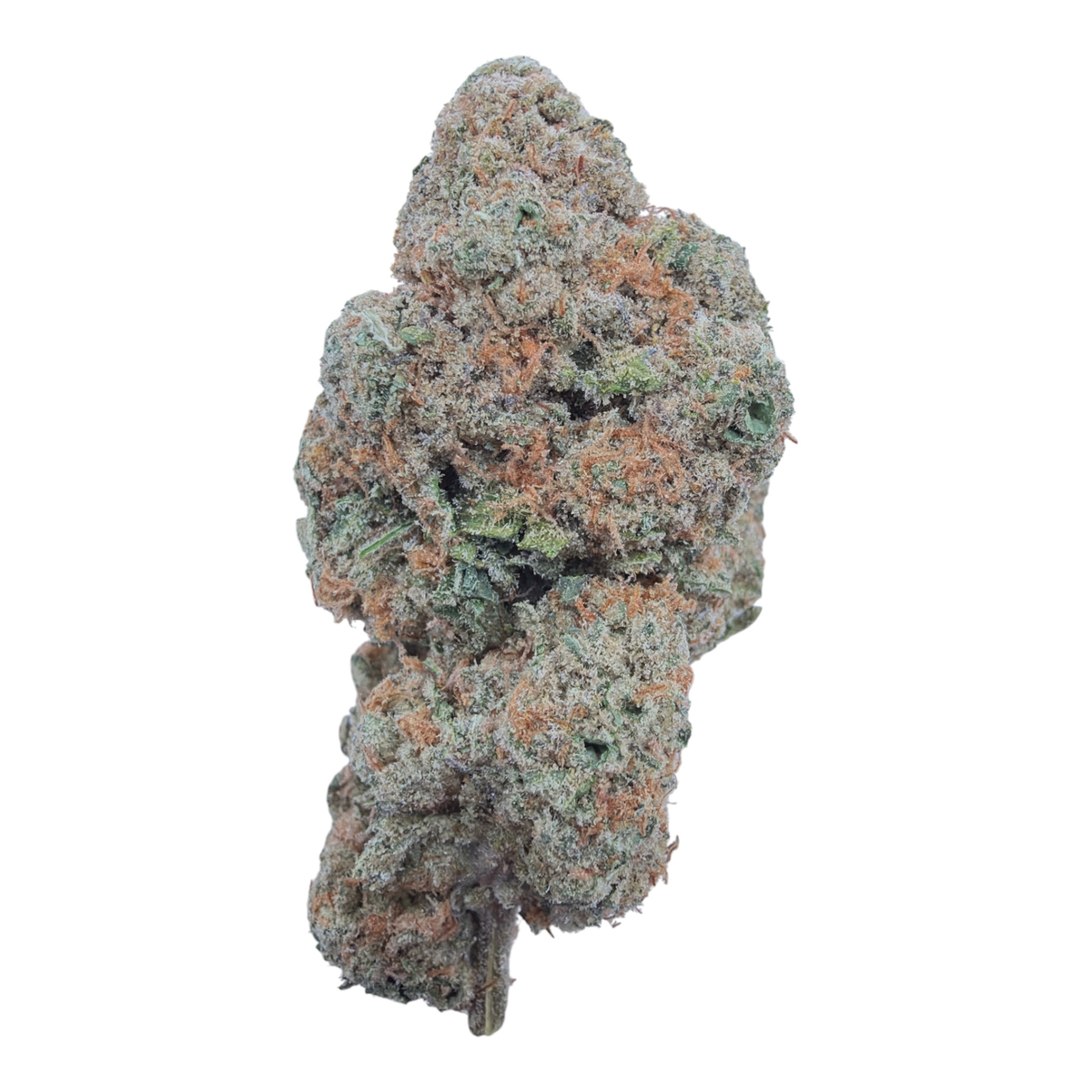 Canal Street Runtz THCA flower isolated nug