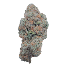 Canal Street Runtz THCA flower isolated nug