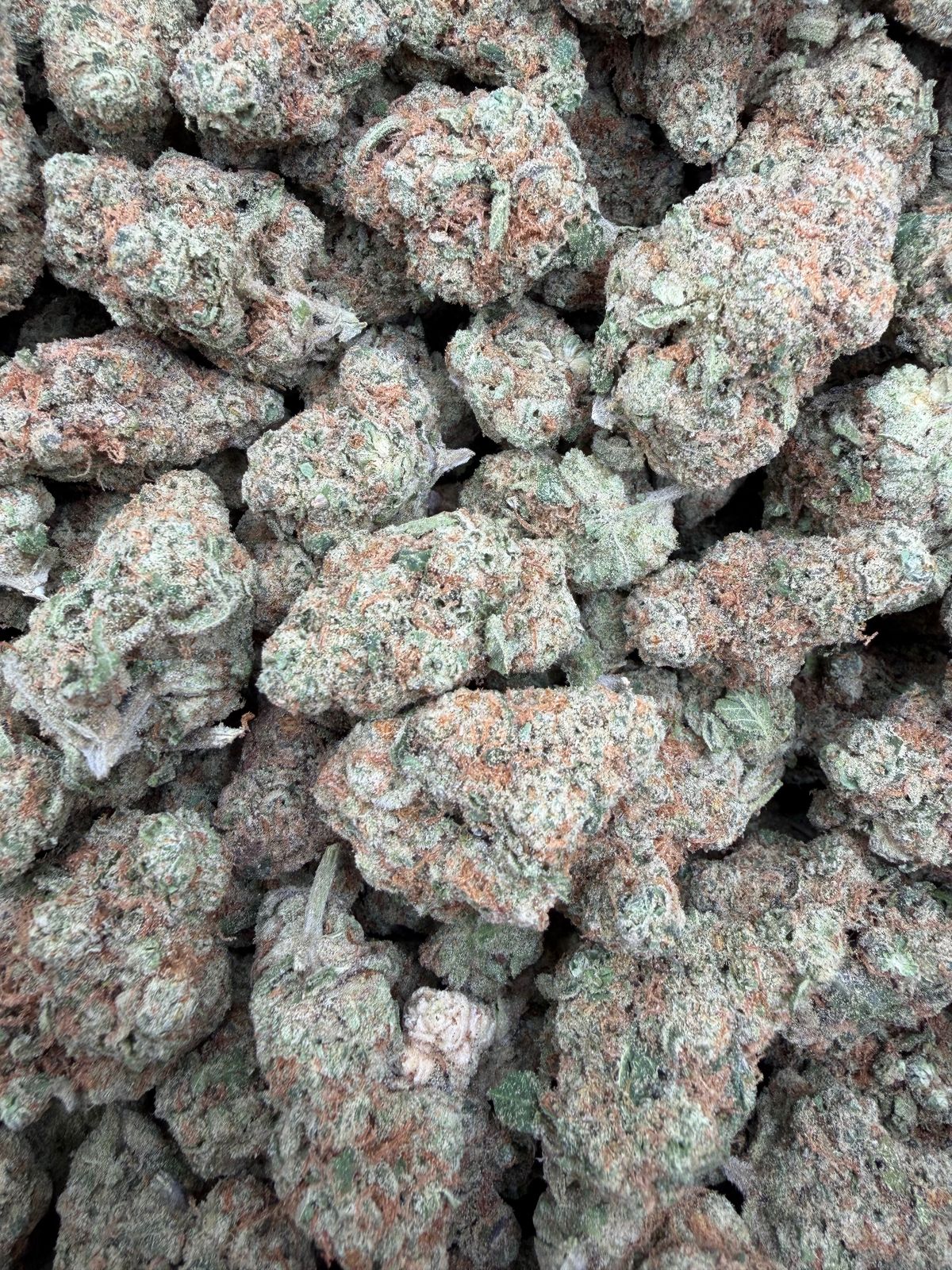 Canal Street Runtz THCA flower full framed lot