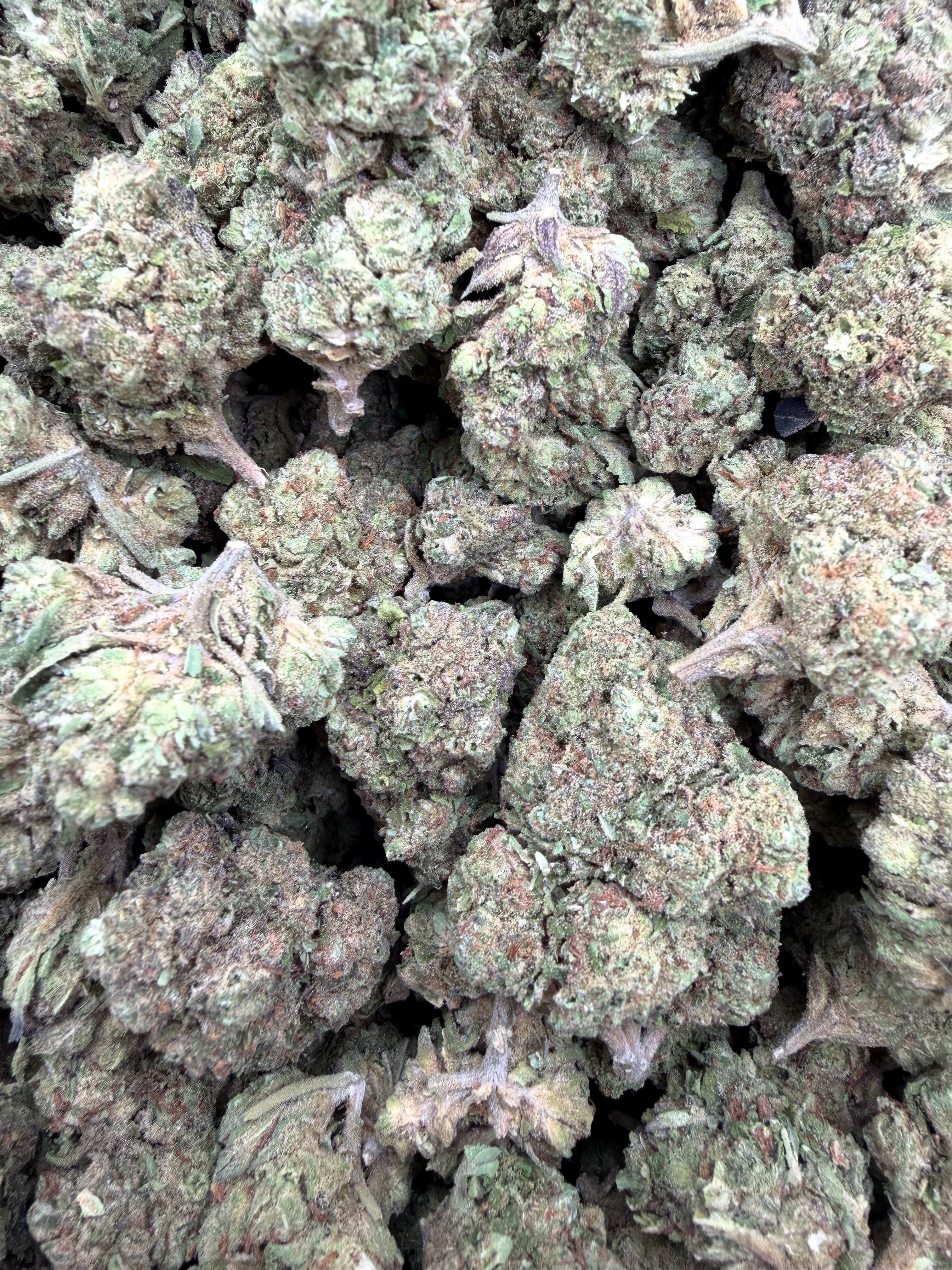 Durban Cookies Light Assist THCA flower current batch close-up