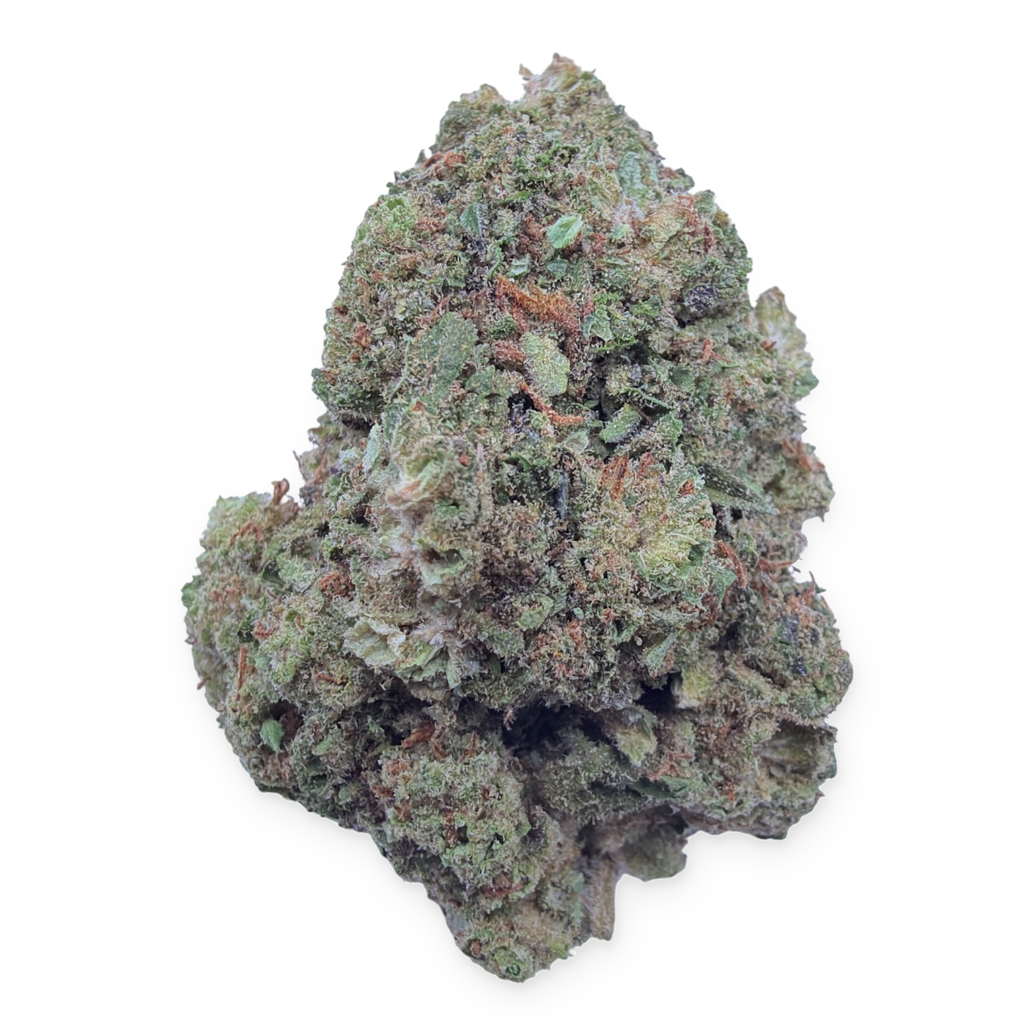 Durban Cookies Light Assist THCA flower isolated buds on white background