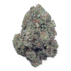 Durban Cookies Light Assist THCA flower isolated buds on white background