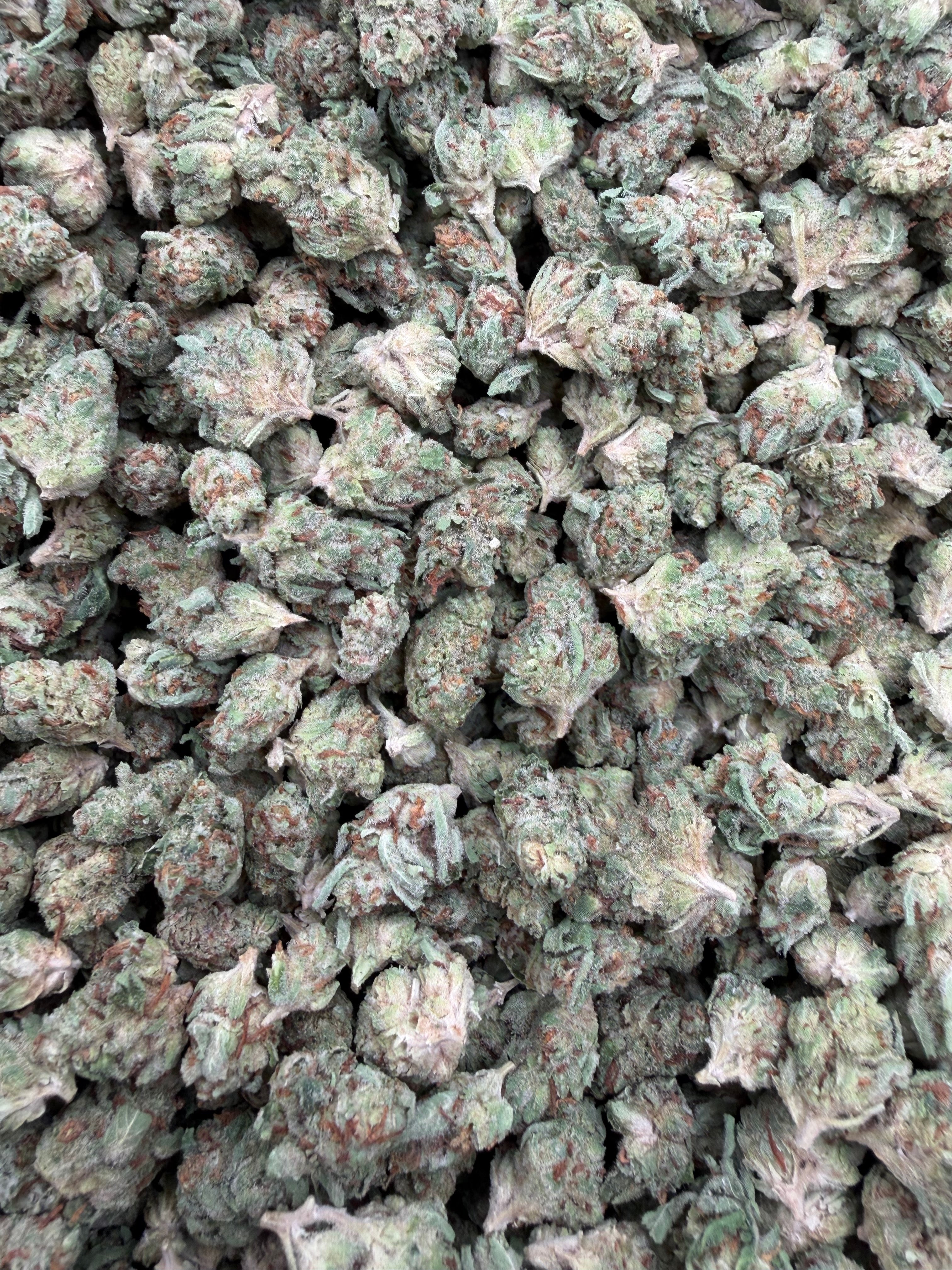 Garlic Gas Indoor Smalls THCA flower – full batch photo from Gabe