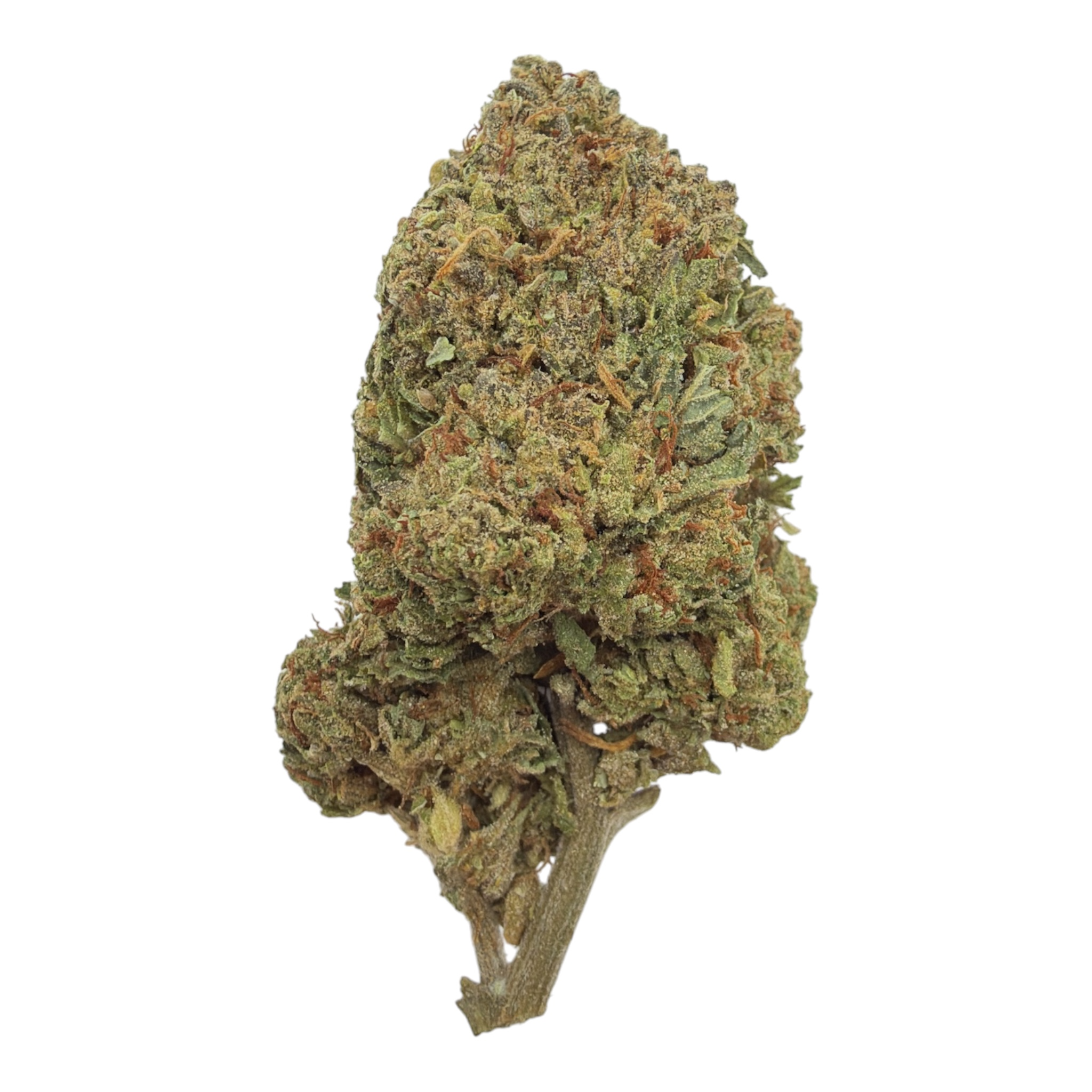 Gelato 41 (Greenhouse) - THCA Flower