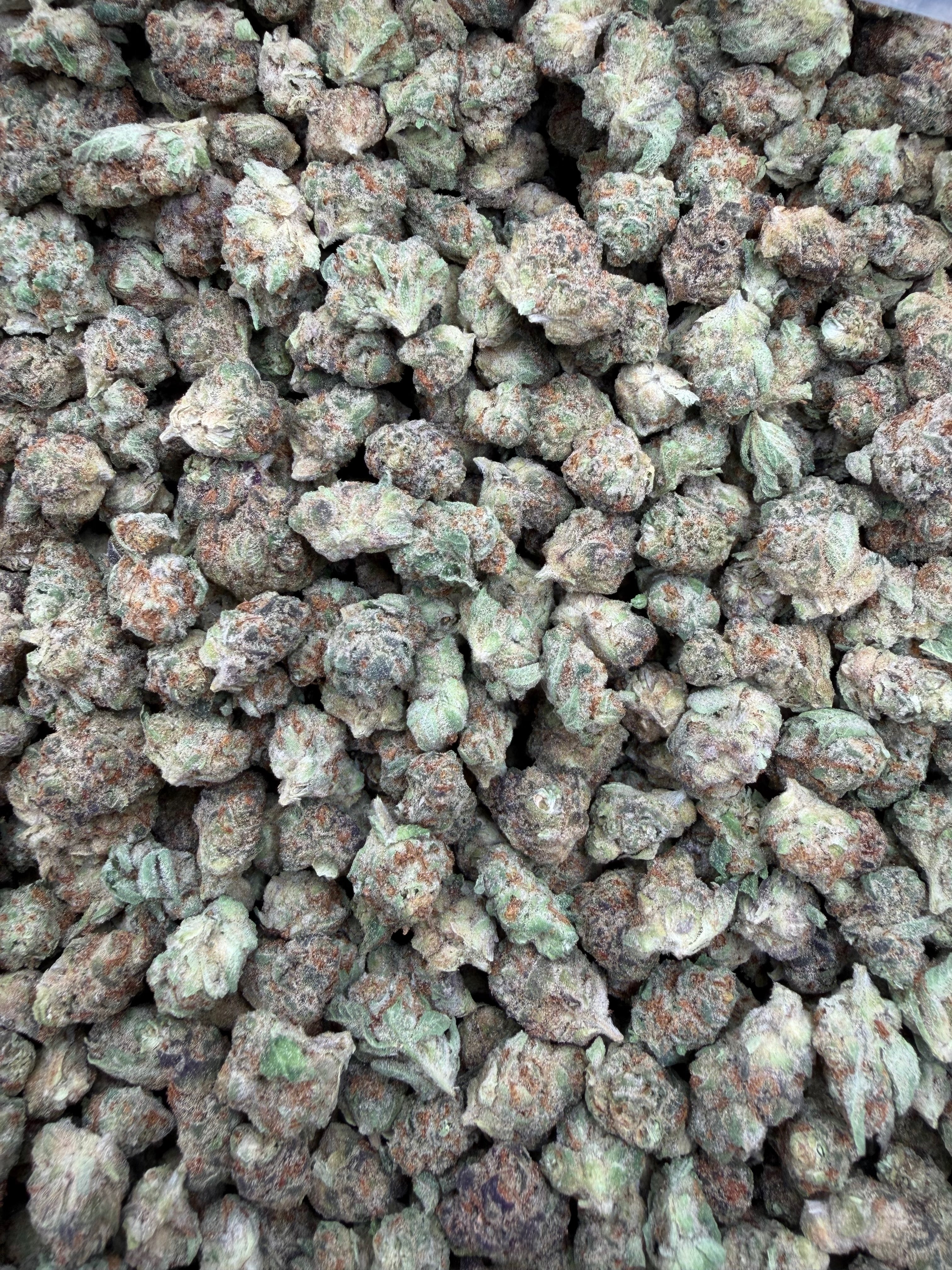 Girl Scout Cookies Indoor Smalls THCA flower – full batch photo from Gabe