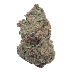 Girl Scout Cookies Light Assist Full-Size Buds THCA flower – isolated current-lot buds