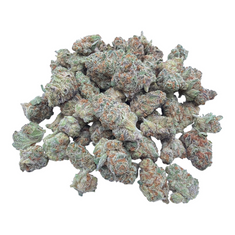 Girl Scout Cookies Indoor Smalls THCA flower – current lot close-up