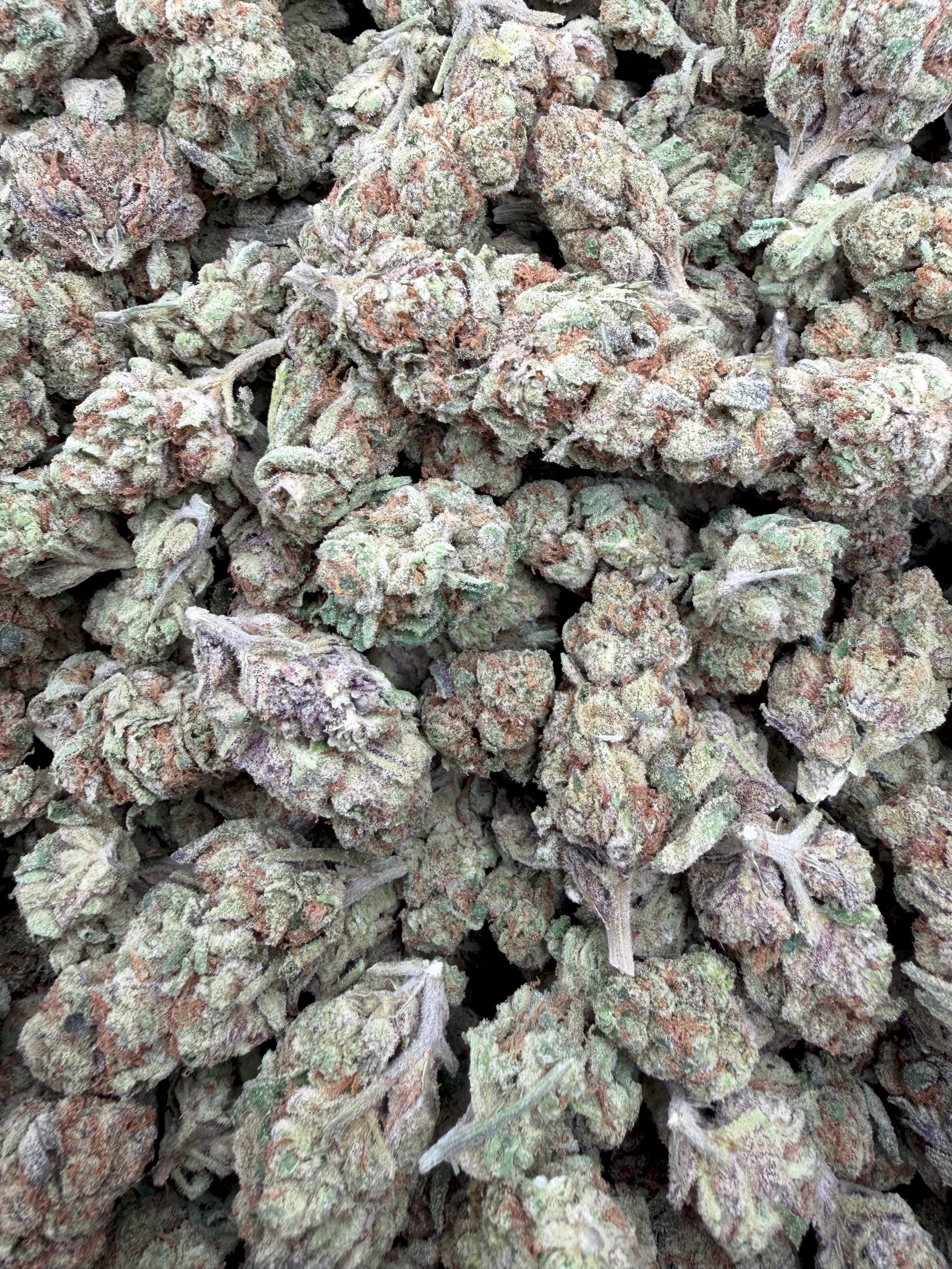 Glitter Bomb Exotic Full-Size Buds THCA flower – full current-batch photo