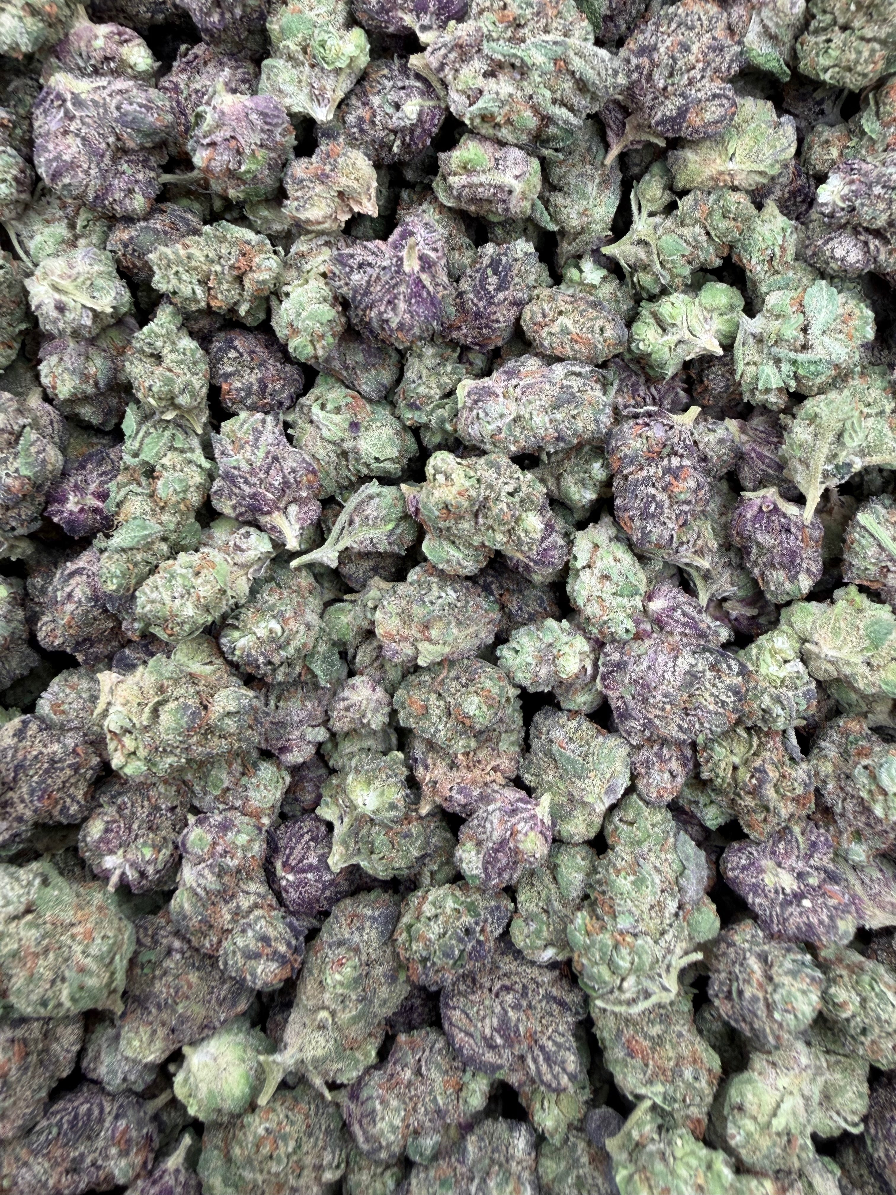 Grapefruit Diesel Indoor Smalls THCA flower – full batch photo from Gabe