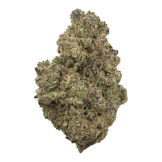 Gushers (Light Assist) - THCA Flower