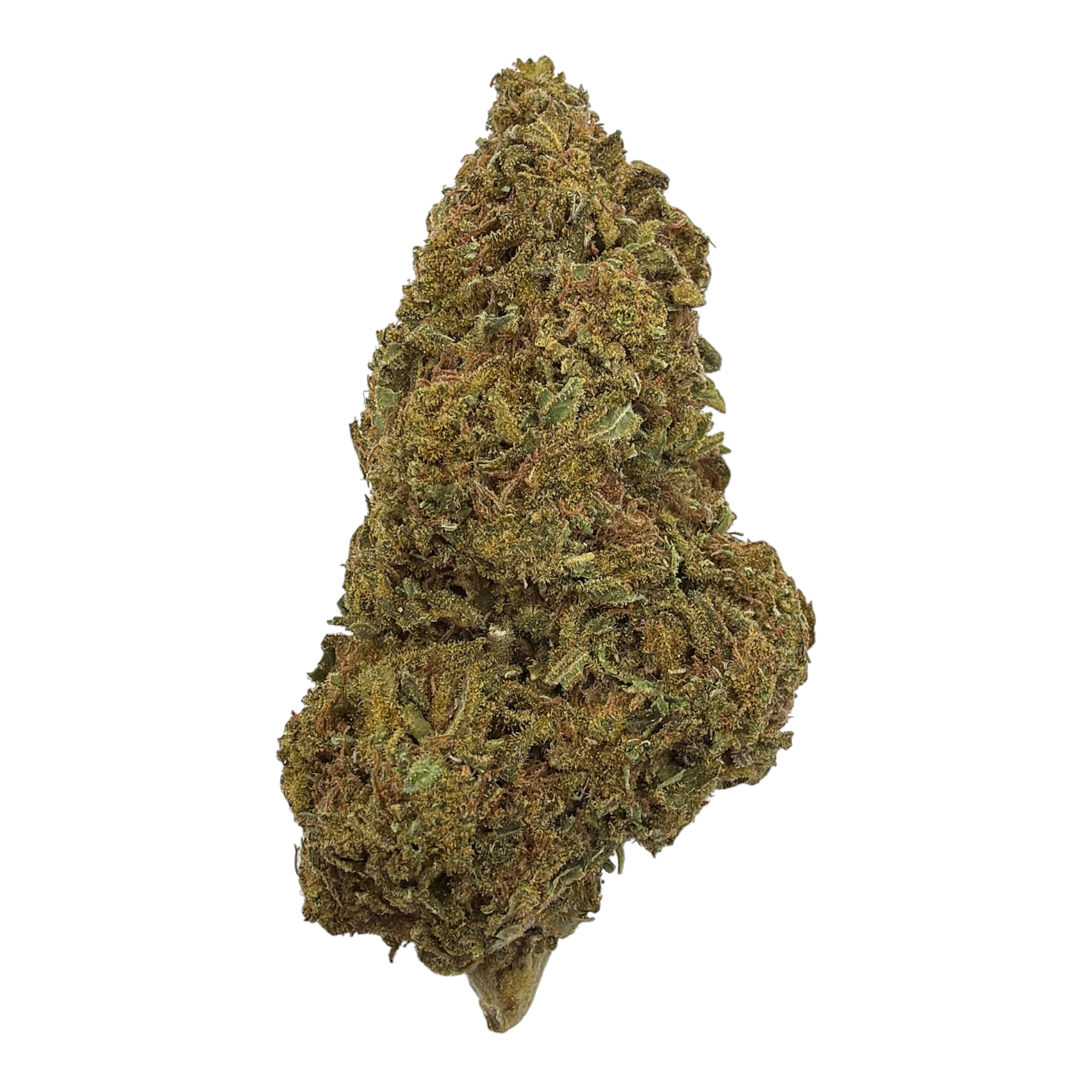Head Band Greenhouse THCA flower nug
