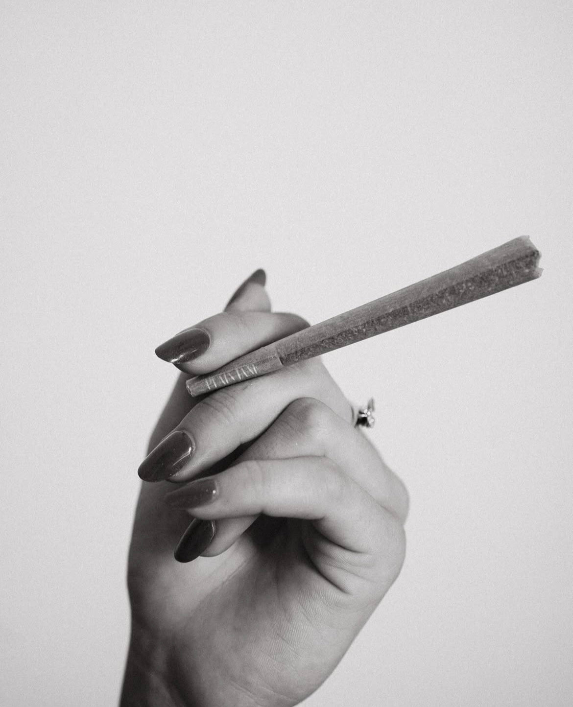 Black-and-white close-up of a hand holding a rolled hemp flower product