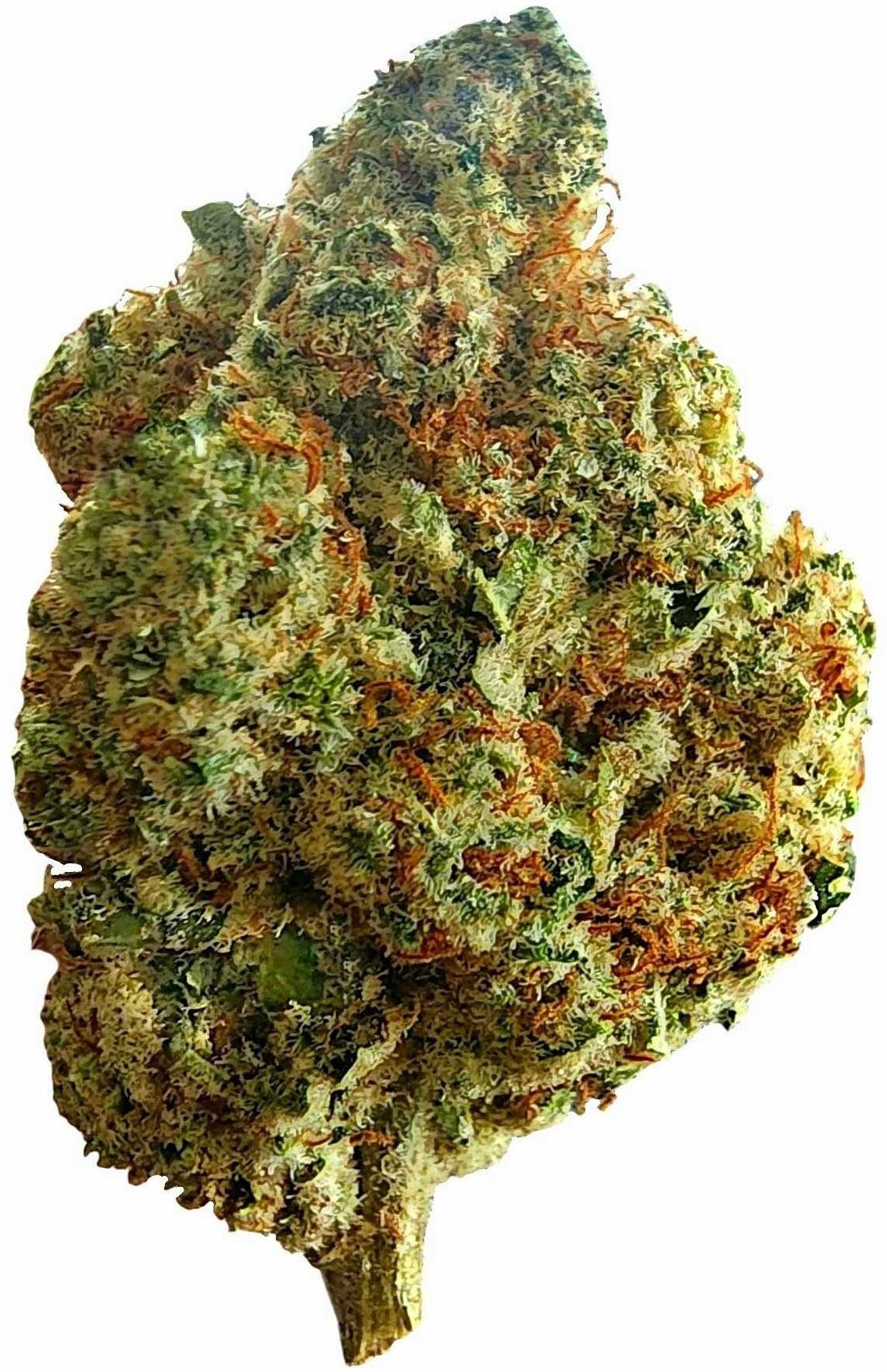 Jelly Donut - CBD Flower