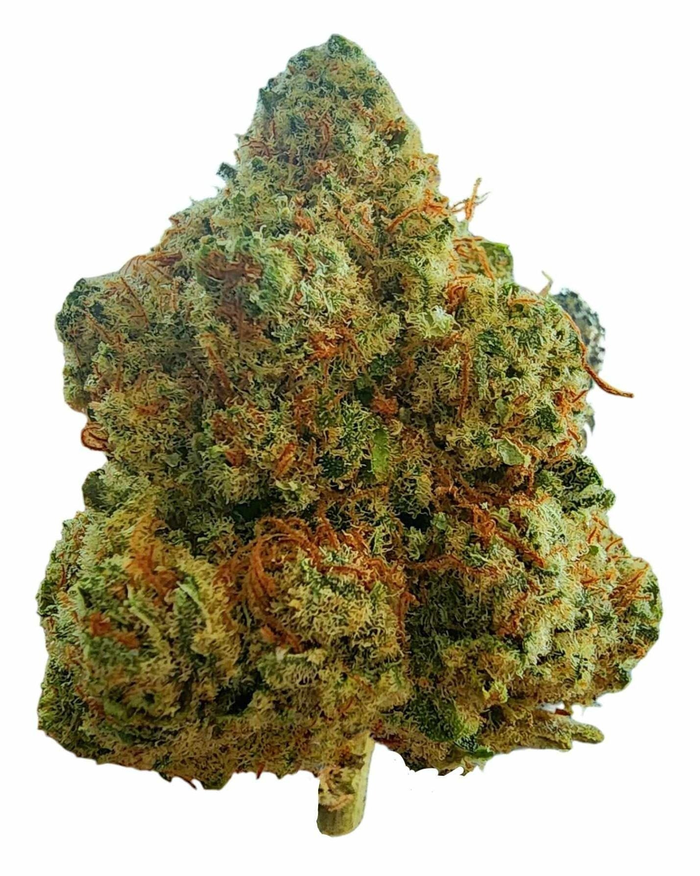 Snack Time - CBD Flower