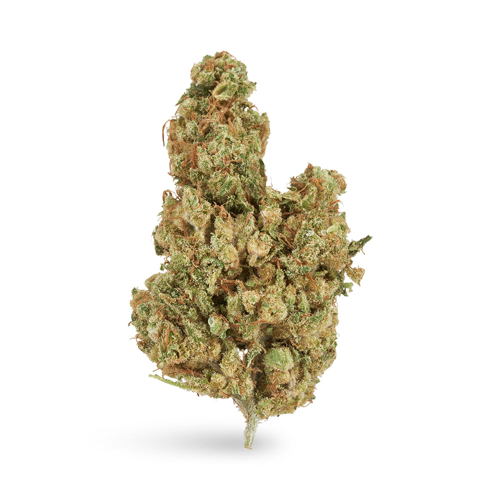 Lifter - CBD Flower