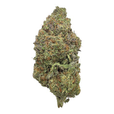 Mimosa THCA flower