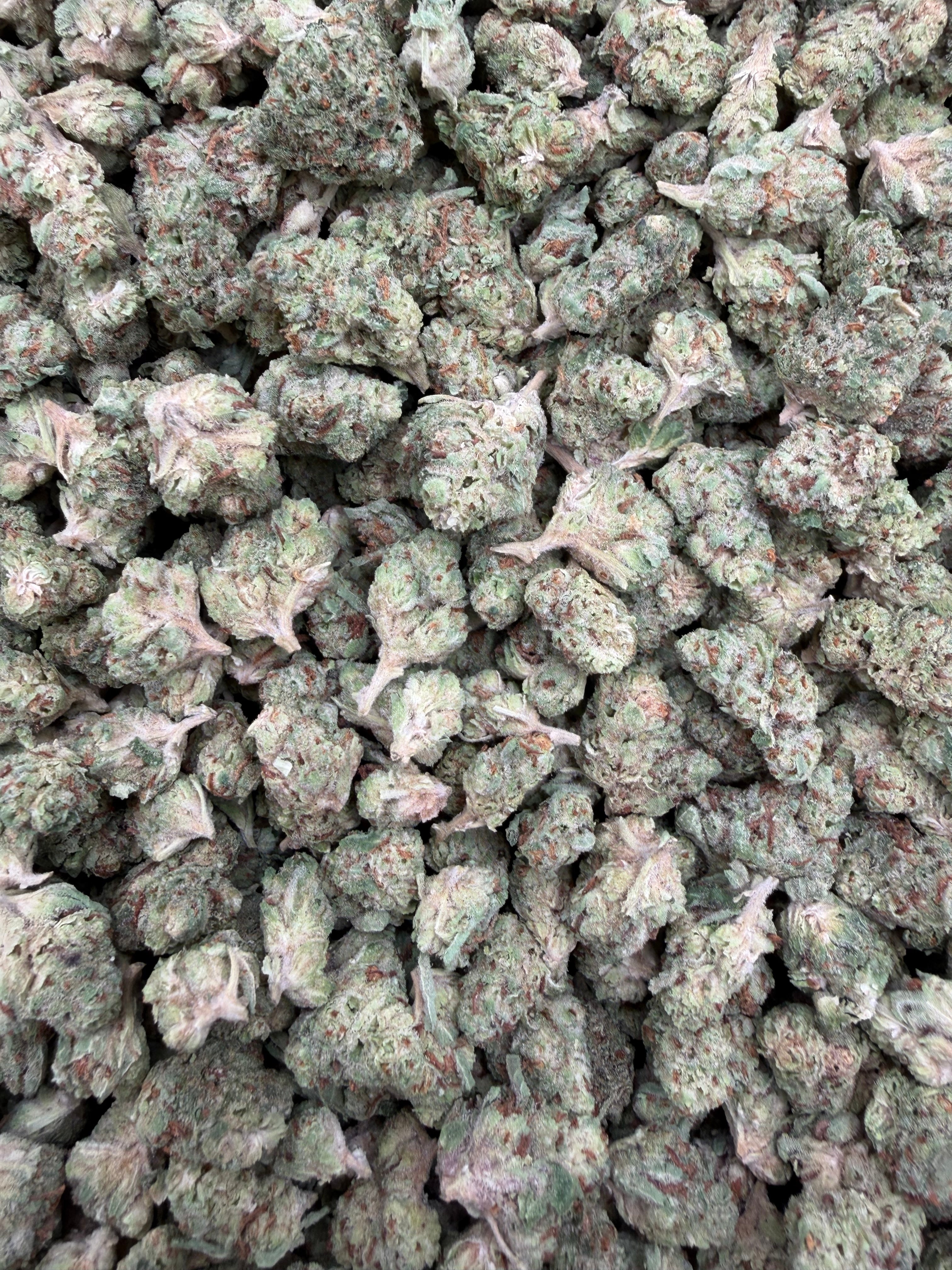 Omega Runtz indoor THCA smalls batch close-up