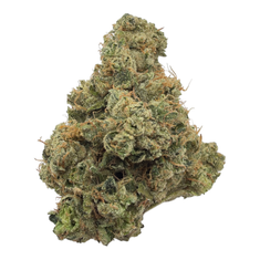 Orange Cookies (Indoor) - THCA Flower
