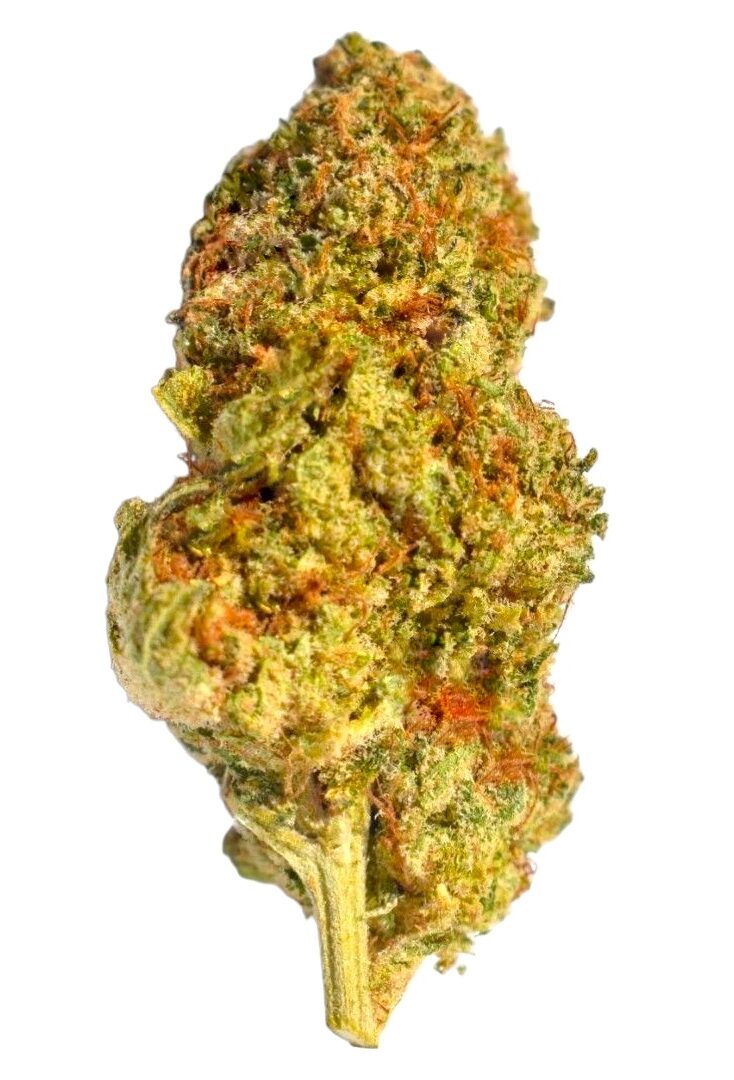 Orange Gas - CBD Flower