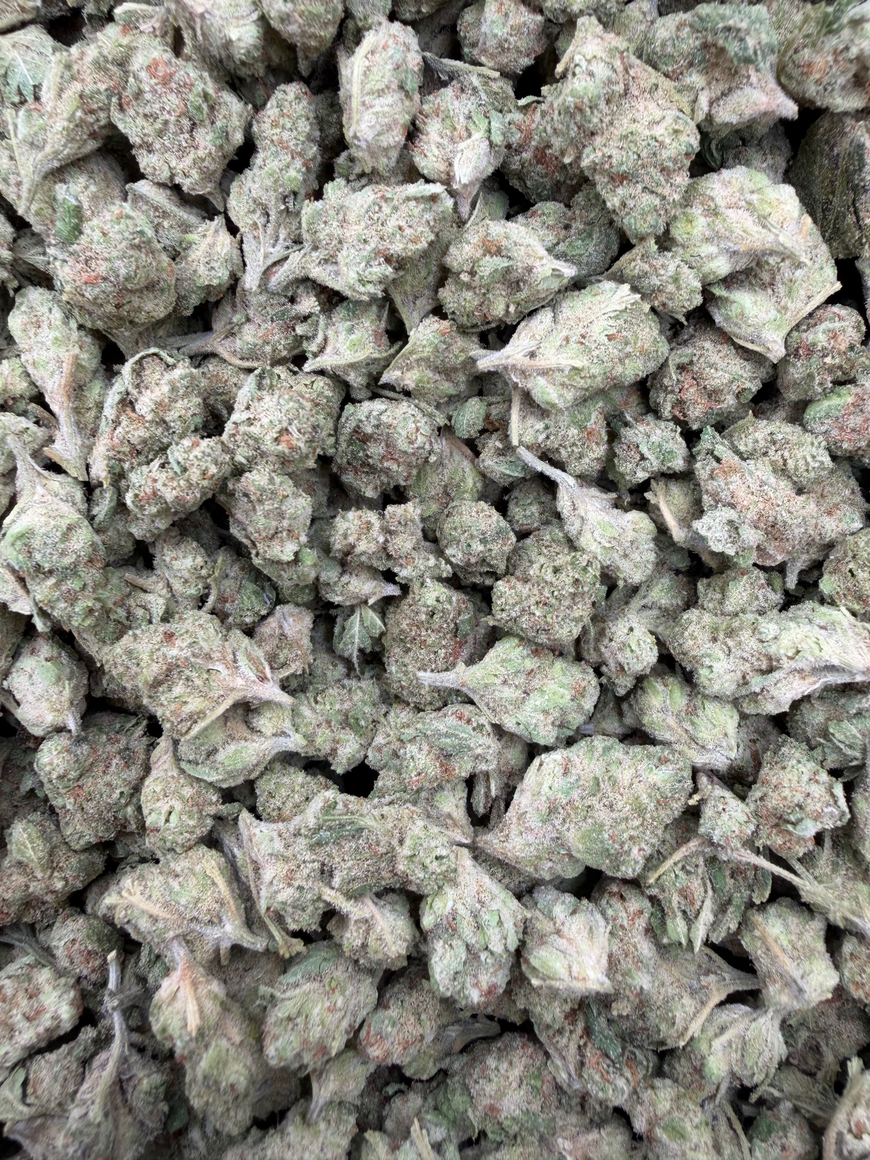 Papaya Punch Indoor Smalls THCA flower – full batch photo from Gabe
