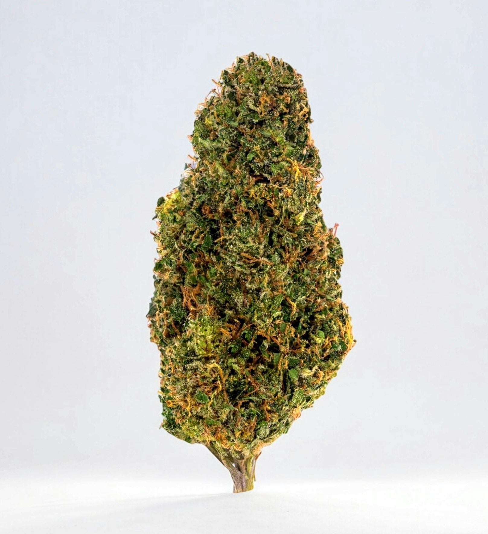 Pineapple Express - CBD Flower