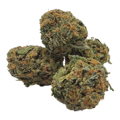 Pink Runtz (Budget Mediums) - THCA Flower