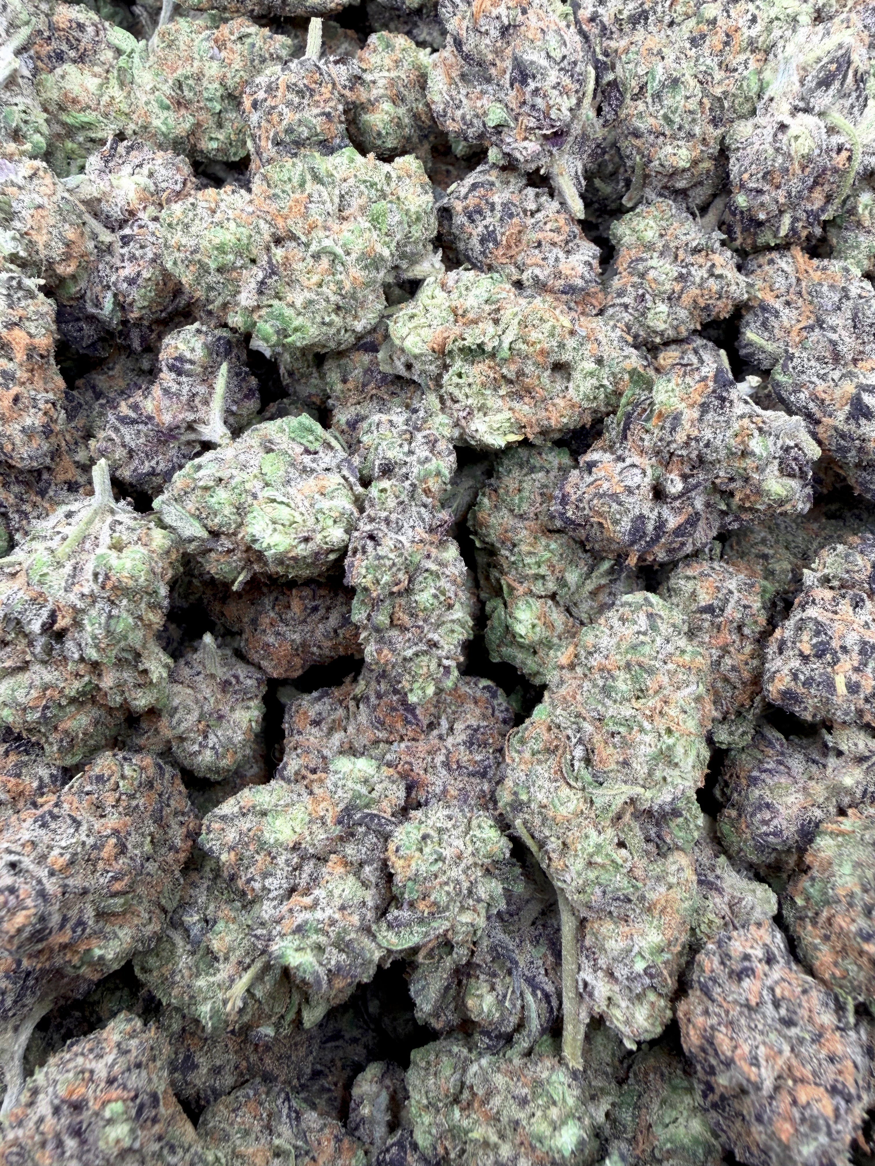 Pipe Dream Indoor THCA flower – frosted full-size buds