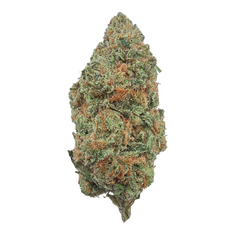 Pipe Dream Indoor THCA flower – frosted full-size buds