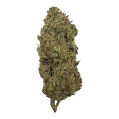 Purple Cream Pie (Light Assist) - THCA Flower