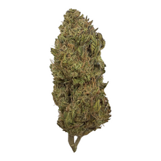 Purple Cream Pie (Light Assist) - THCA Flower