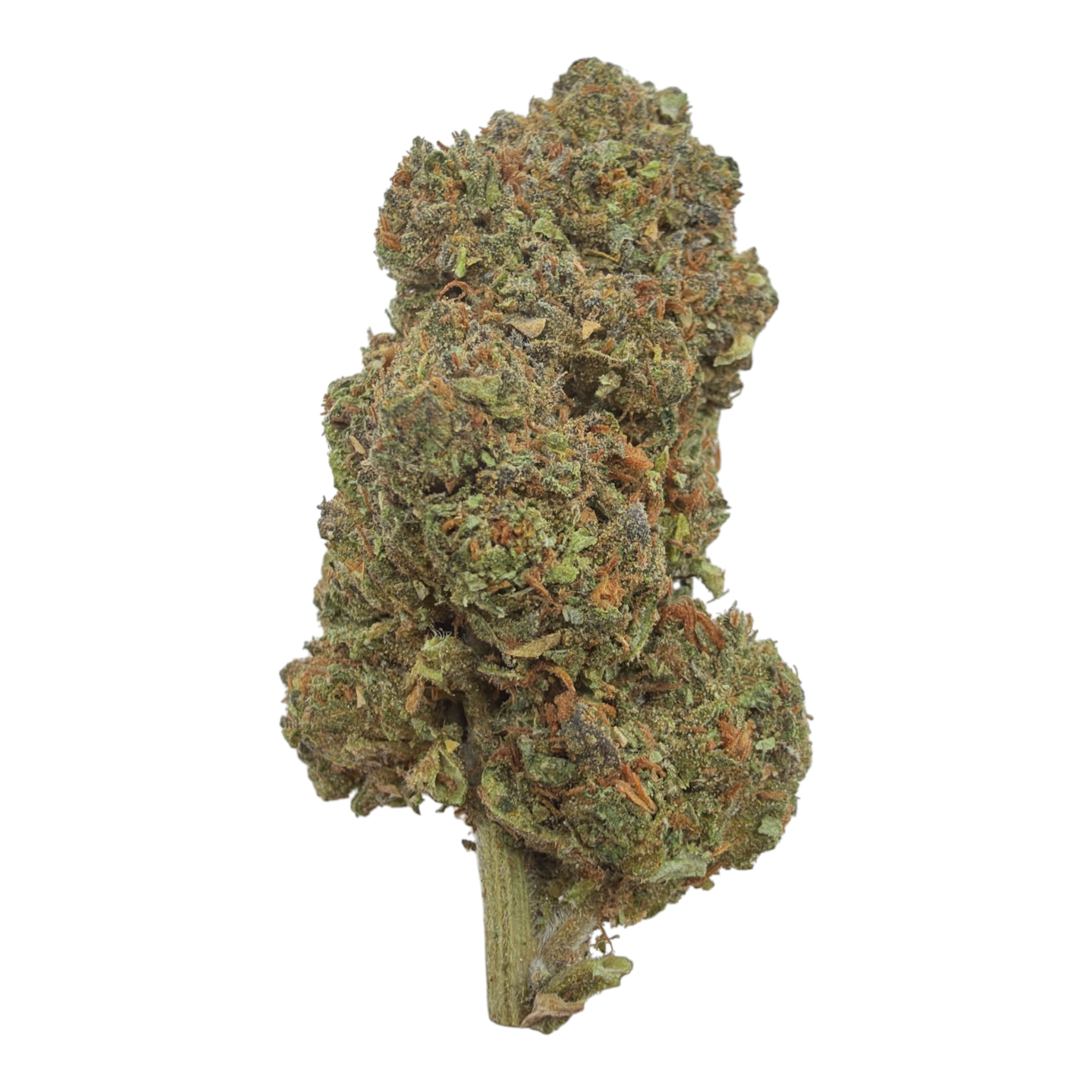Sherbacio (Greenhouse) - THCA Flower
