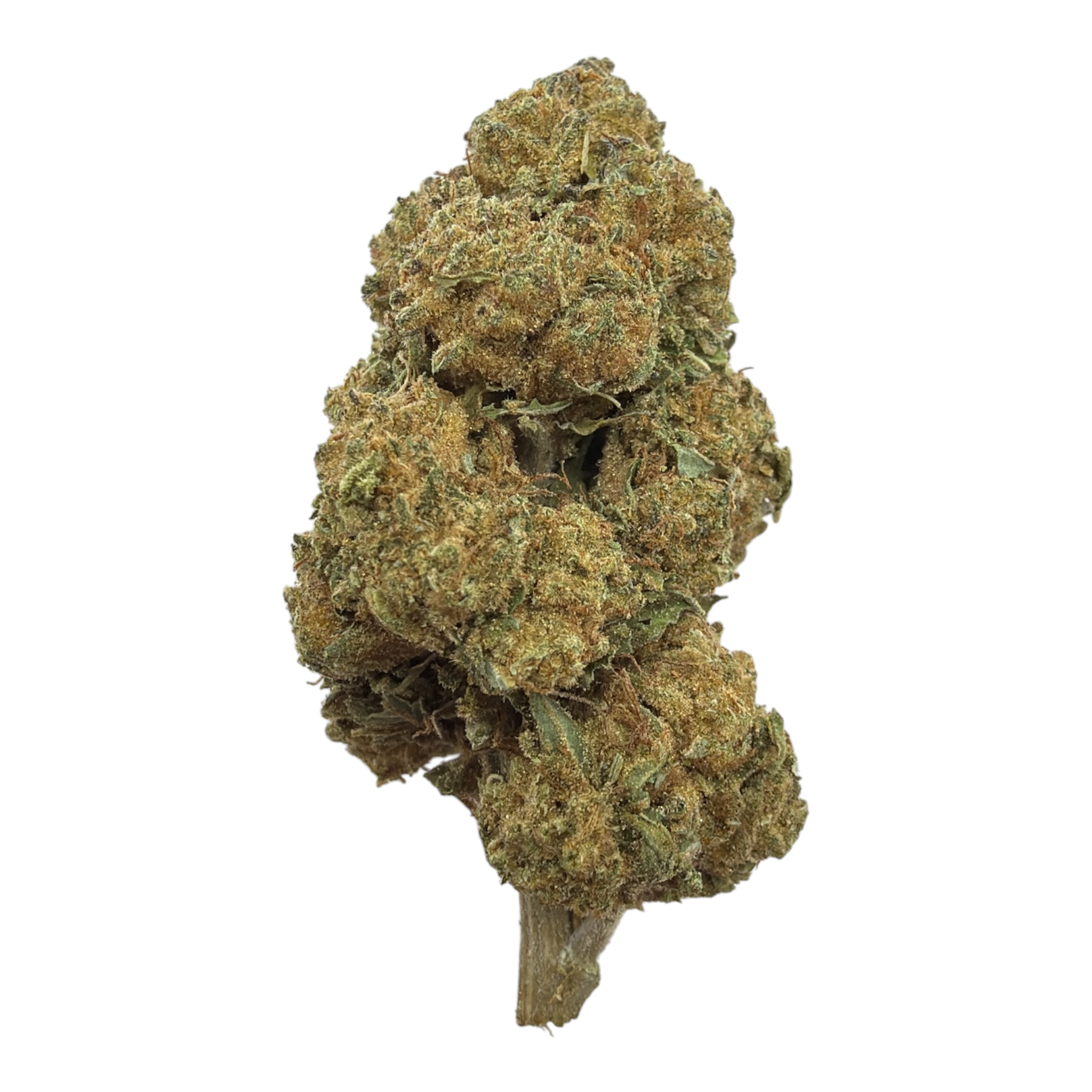 Skywalker OG (Greenhouse) - THCA Flower