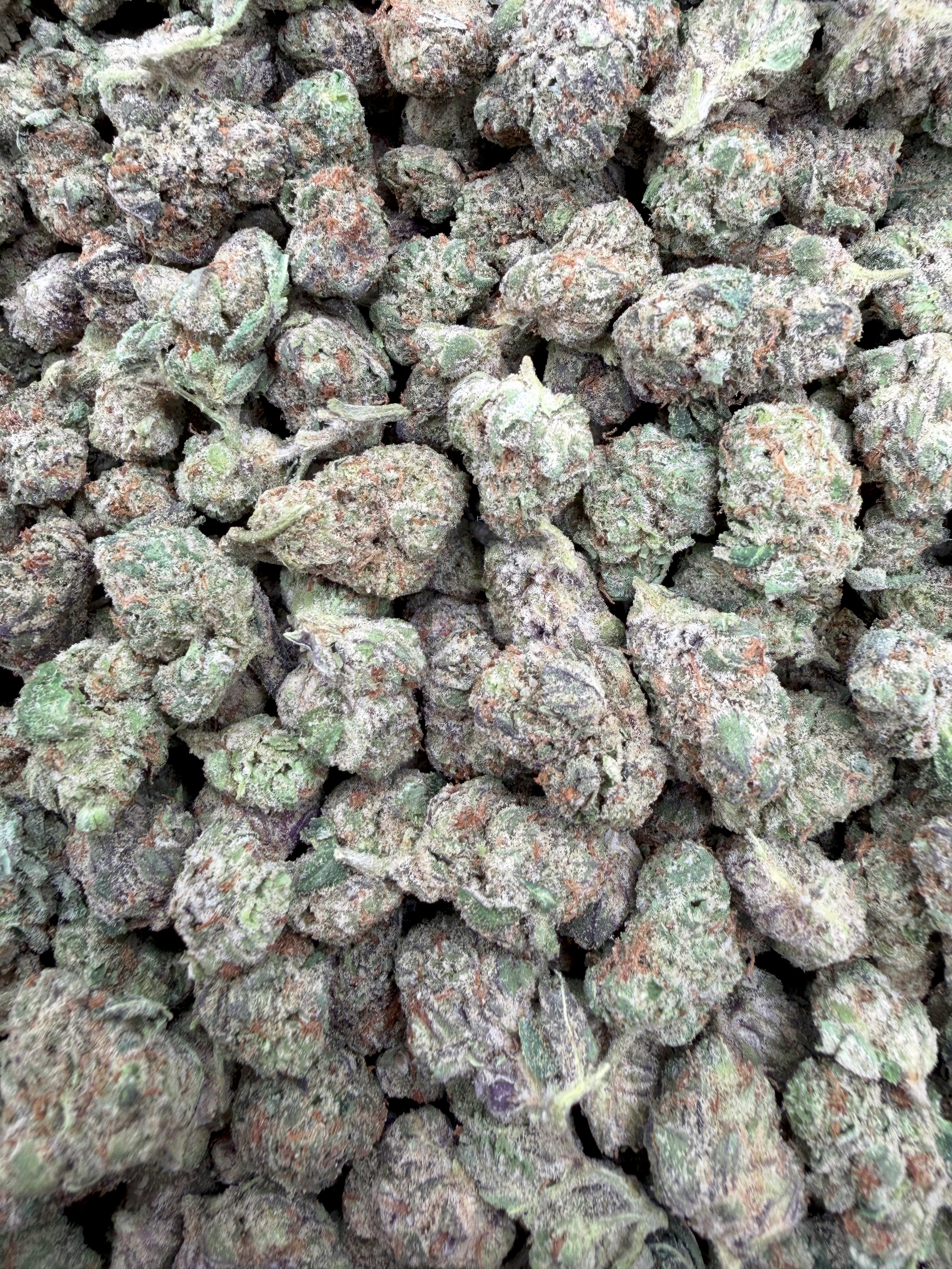 Snow Purple Punch Indoor Smalls THCA flower – full current-batch photo