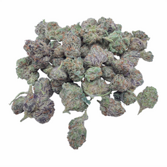 Snow Purple Punch Indoor Smalls THCA flower – isolated current-lot buds